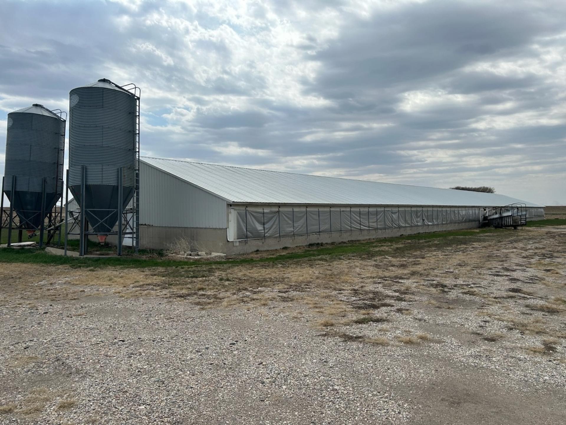3,800 Head Swine Facility Sealed Bid Auction Palo Alto County Booth