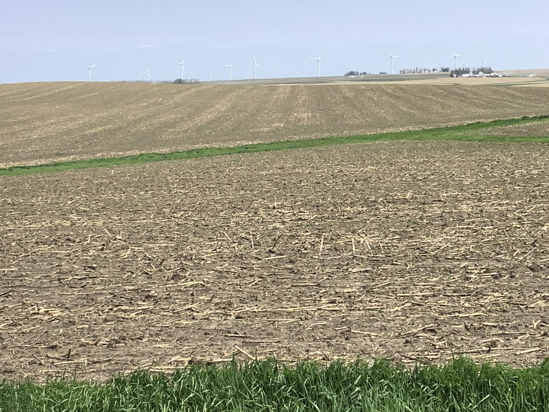 120 Acres m/l Sac County Eureka Township Midwest Land Management