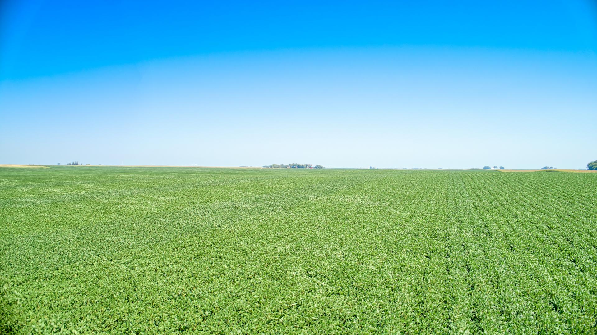 110 Acres m/l Kossuth County Harrison Township Midwest Land