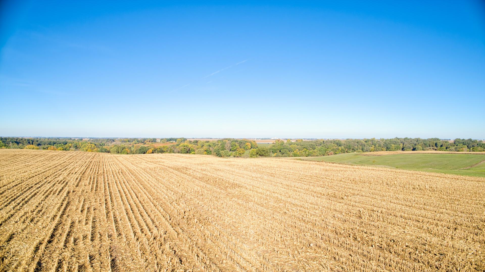 156.8 Acres m/lCropland & AcreageSelling in 2 Tracts Calhoun County
