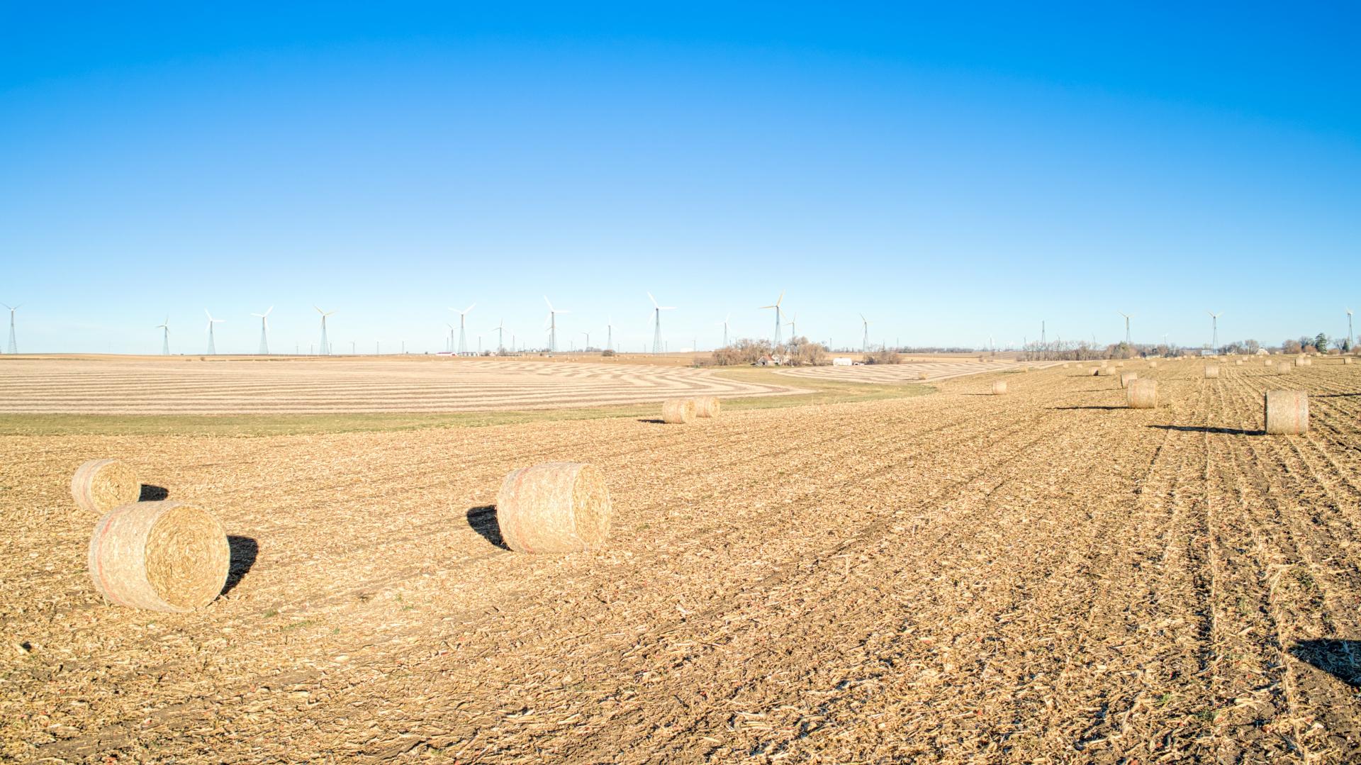 115.74 Surveyed Acres Buena Vista County Nokomis Township Midwest