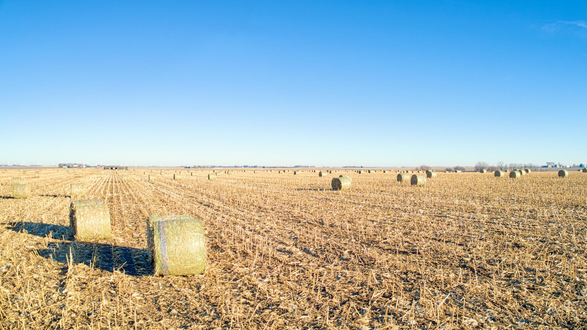 80 Acres m/l O'Brien County Liberty Township Midwest Land Management