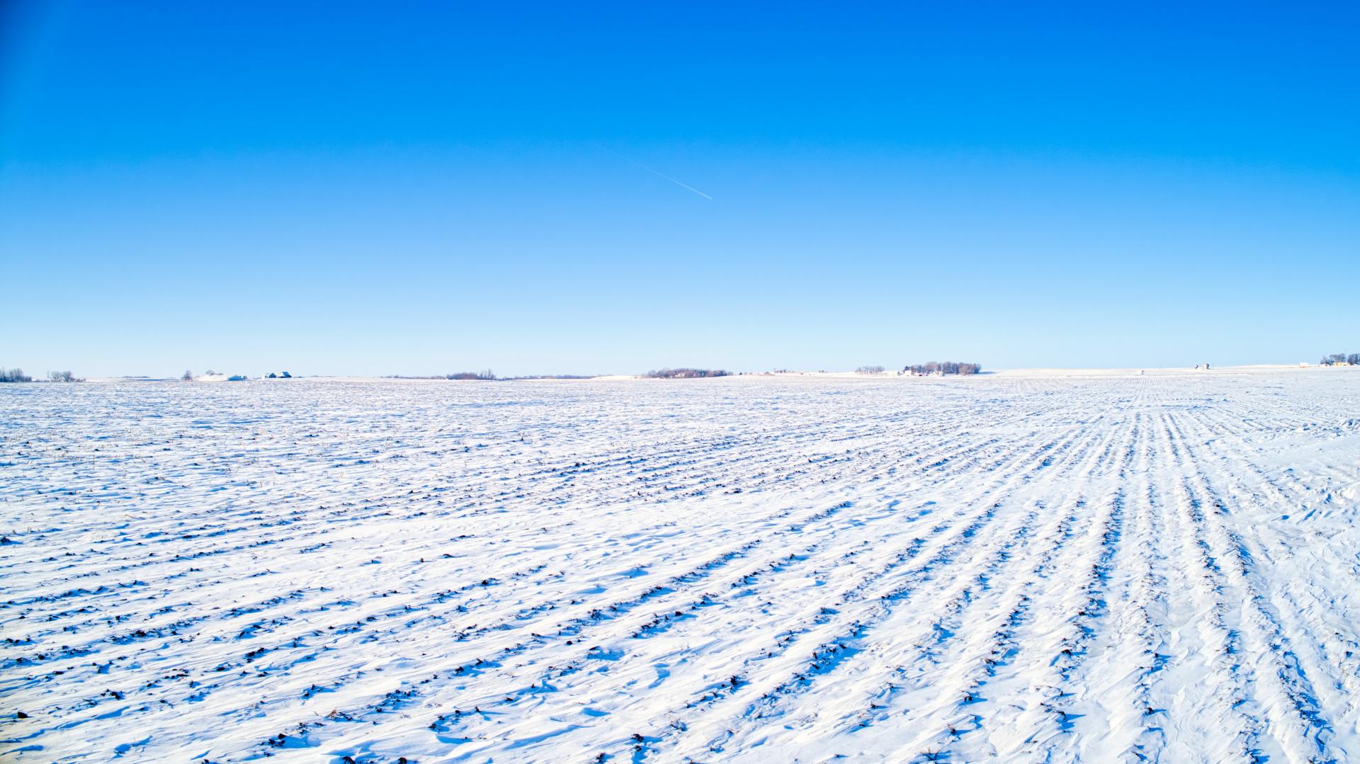 302 Acres m/l 3 Tracts Buena Vista County Providence Township