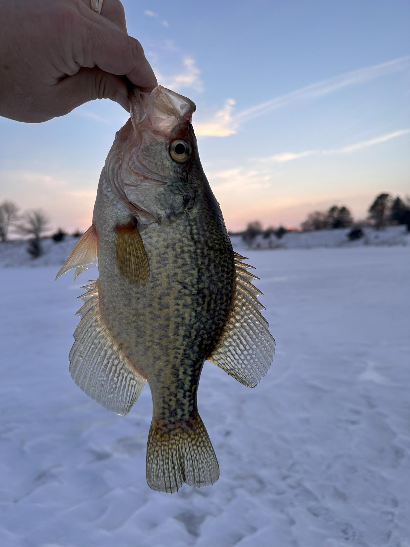 15.17 Acres Recreational Land Buena Vista County Brooke Township