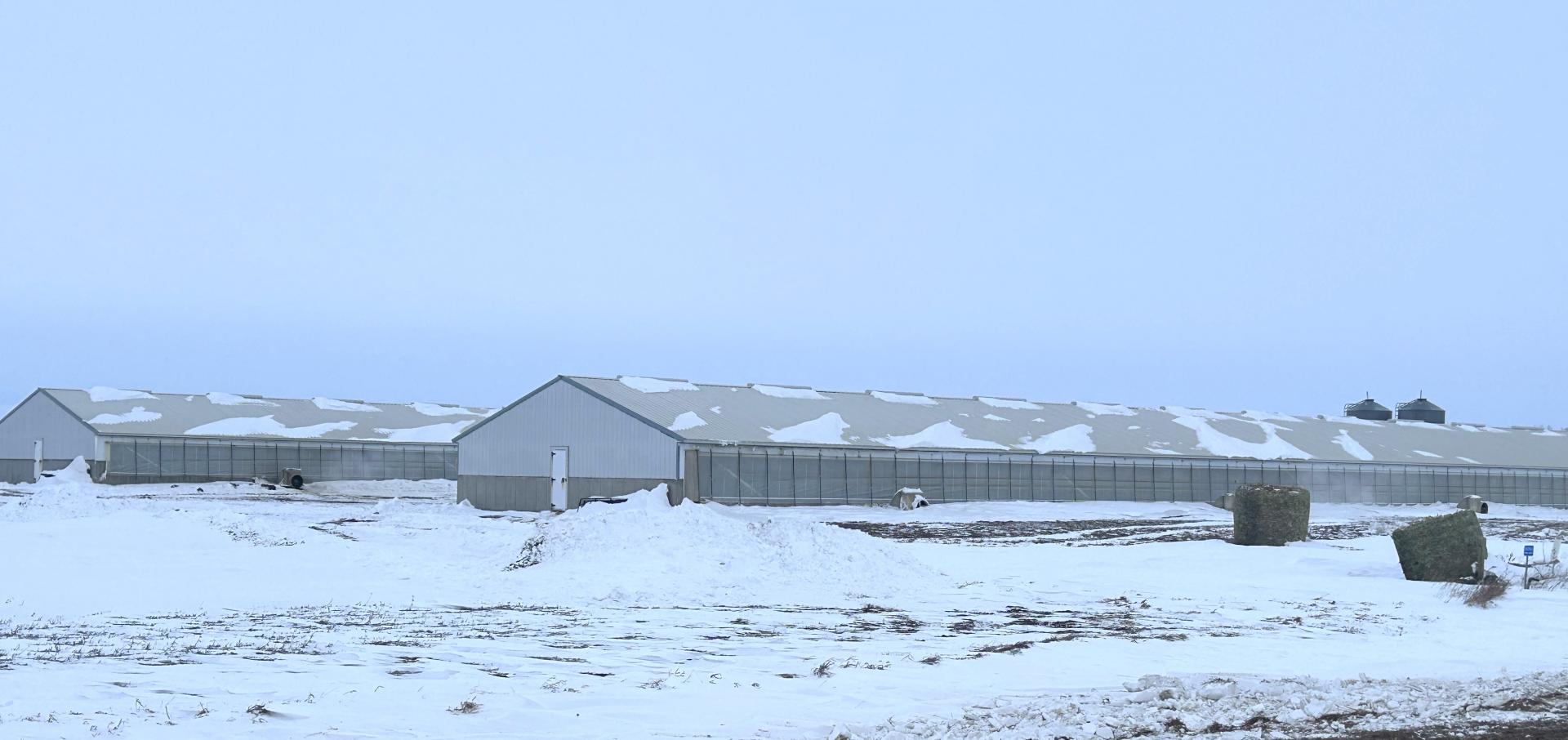 2400 Head Finishing Site Lyon County Midland Township Midwest Land Management & Real Estate