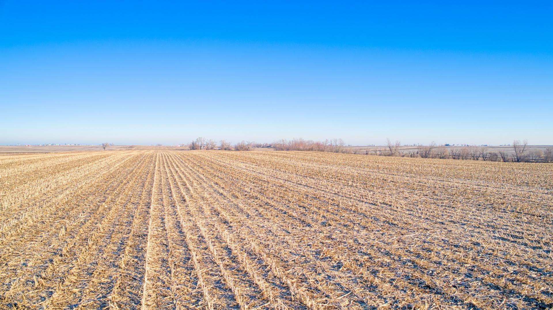 78 Acres m/l Boone County Garden Township Midwest Land Management