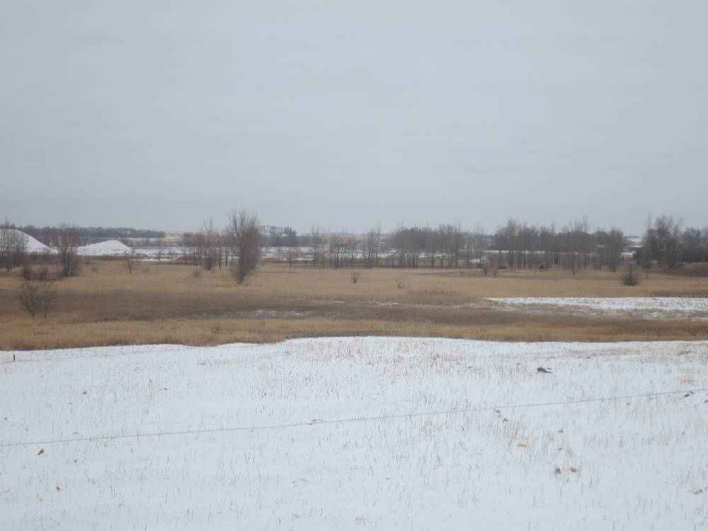 37 Acres Farmland/Acreage Clay County, Iowa Freeman Township