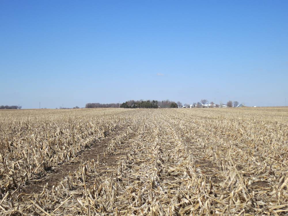 97 Acres Buena Vista County, Iowa Grant Township Midwest Land