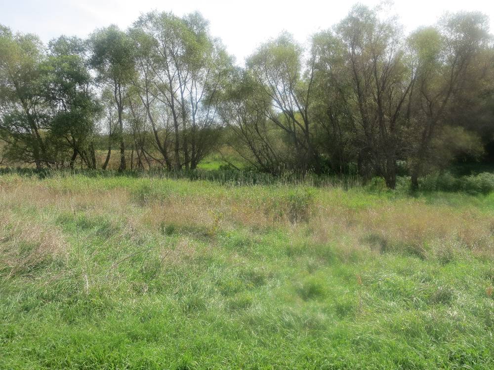 354 ACRES in 6 Tracts Clay County, Iowa Riverton & Summit Townships