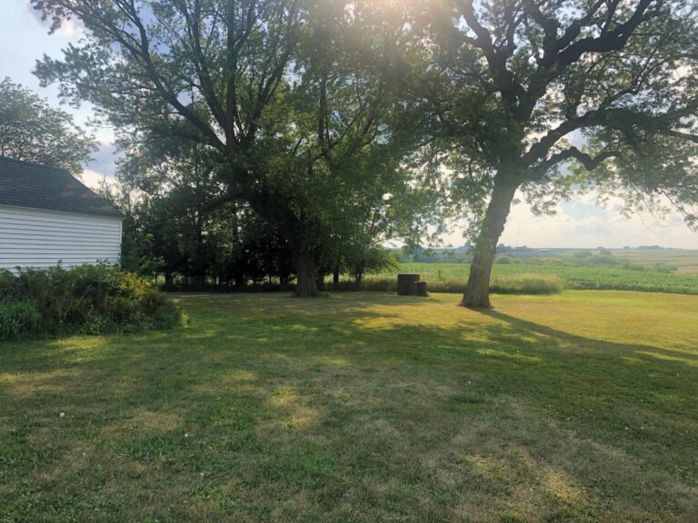 1.47 Acre Acreage-Yard-1629995696