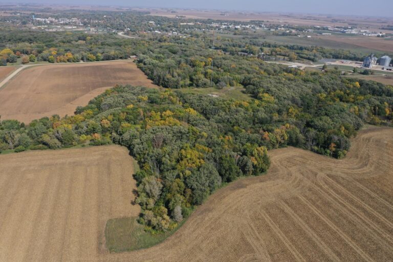 11.25 Acres Recreational Land-1-1696281535