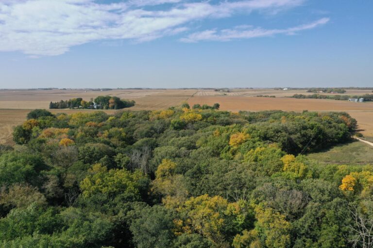 11.25 Acres Recreational Land-1-1696281554