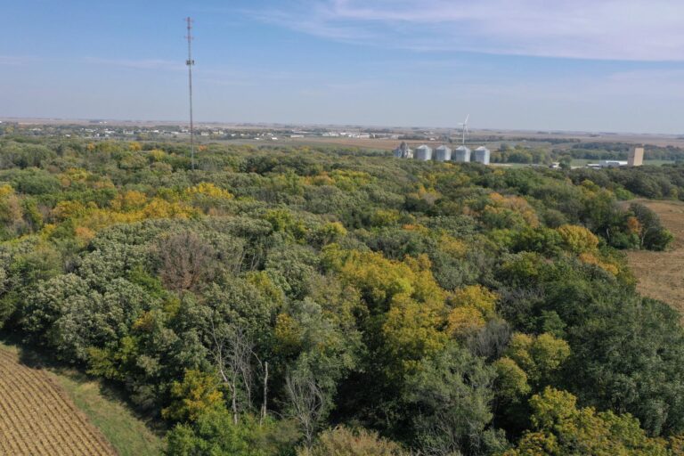 11.25 Acres Recreational Land-1-1696281571