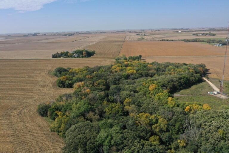 11.25 Acres Recreational Land-1-1696281587