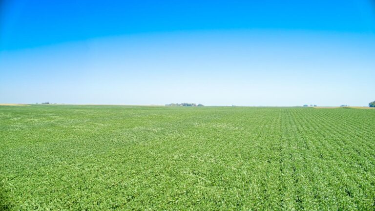 110 Acres m_l-1-1695666702