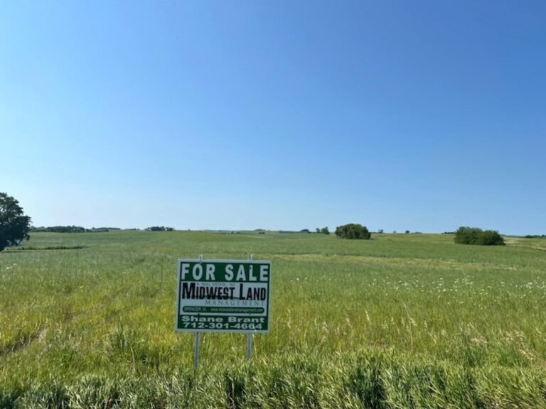 119.86 Acres Emmet County - 1