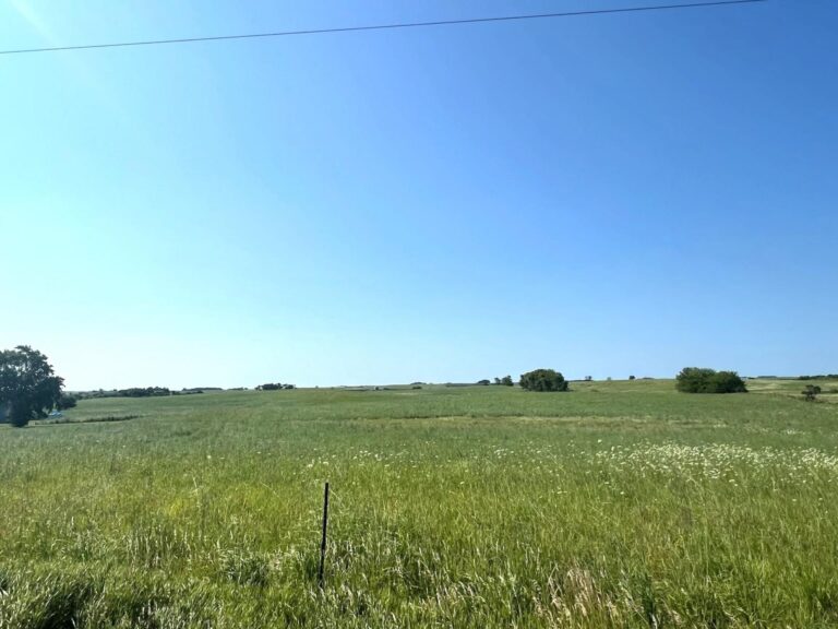 119.86 Acres Emmet County - 2