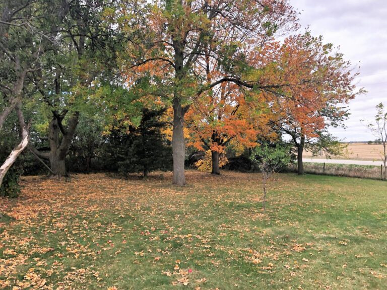 12.54 Acre Acreage-Yard-1602260666
