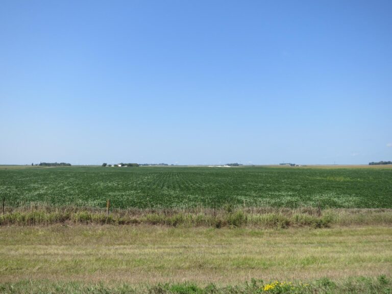 120 ACRES - 2 Tracts-Field Landscape-1507147338