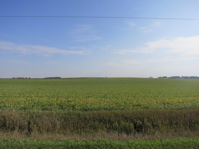 120.5 ACRES - 3 Tracts-Field Landscape-1507147288
