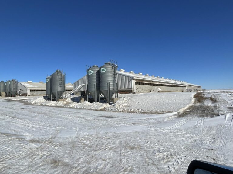 1,200 Head Sow Unit & 2,000 Head Finishing Site-Swine Facility-1677532927