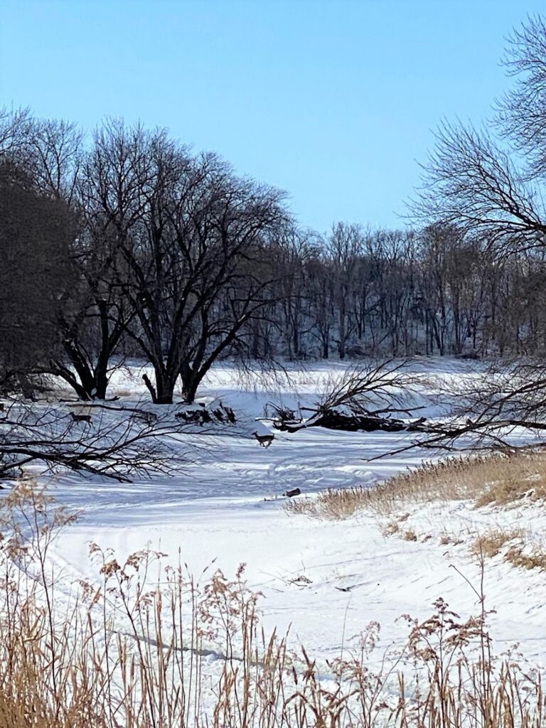 130 Acres m_l WRP Land-1-1615477150