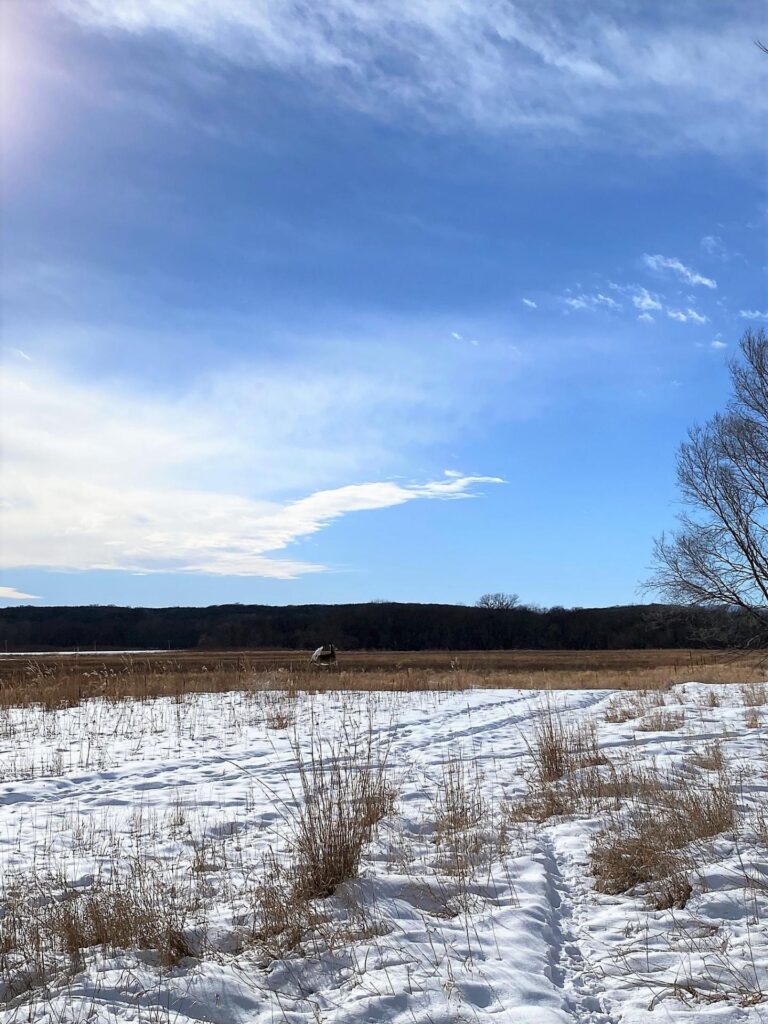 130 Acres m_l WRP Land-2-1615477163