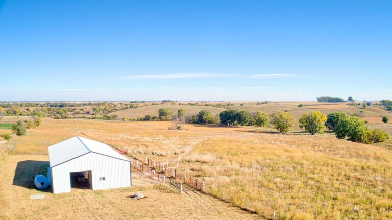 140.91 Acres - Pasture, CRP, Cropland & Outbuildings Clay County - 3