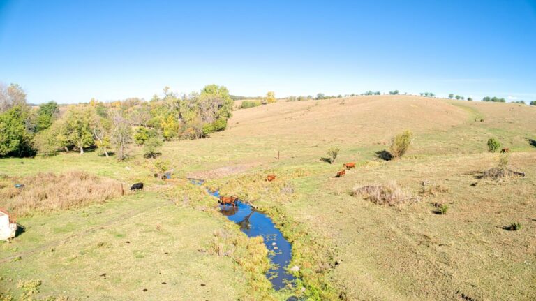 140.91 Acres - Pasture, CRP, Cropland & Outbuildings Clay County - 5