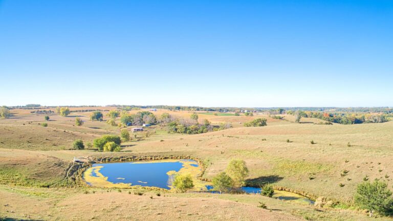 140.91 Acres - Pasture, CRP, Cropland & Outbuildings Clay County - 7