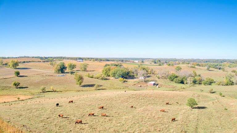 140.91 Acres - Pasture, CRP, Cropland & Outbuildings Clay County - 8