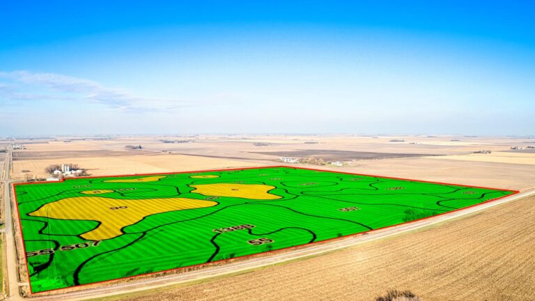 150 Acres m_l-1-1699302215