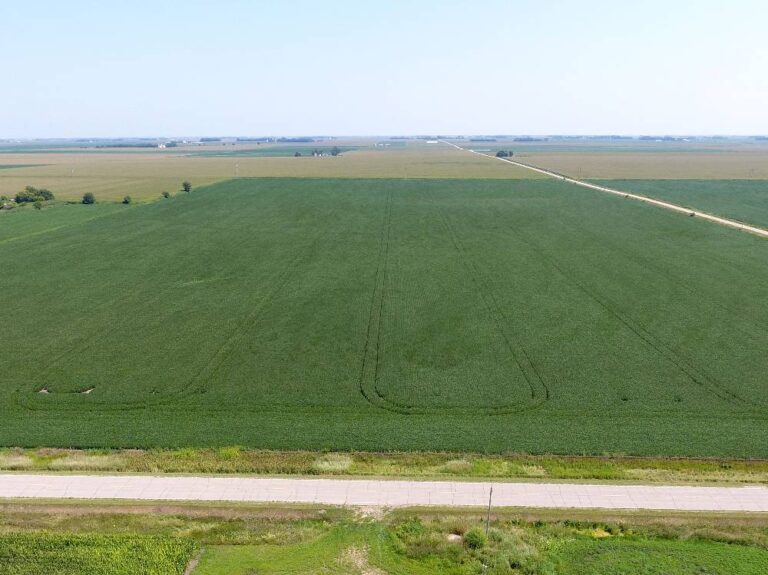 152 ACRES - 2 Tracts-Tract 1-2967