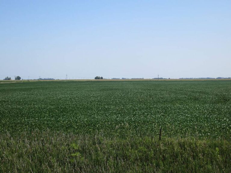 152 ACRES - 2 Tracts-Tract 2-2968