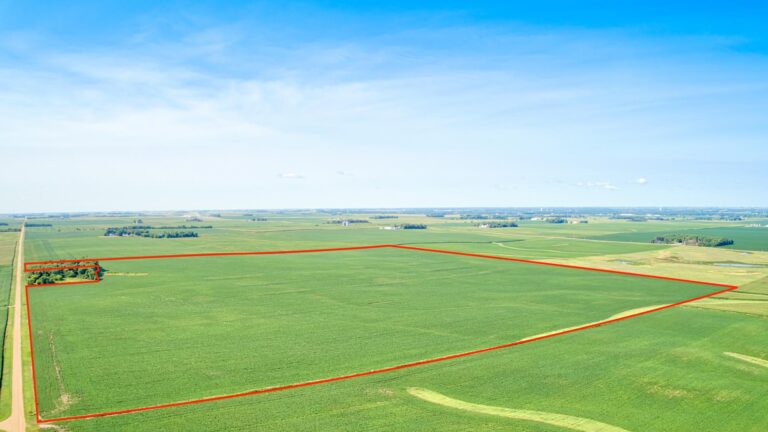 155 Acres m_l-1-1689949660