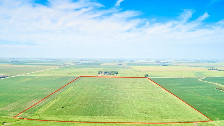 159.25 Acres m_l - 2 Tracts-1-1722279841