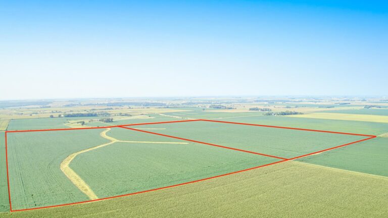 159.54 Surveyed Acres - Selling in 2 Tracts-1-1691526521