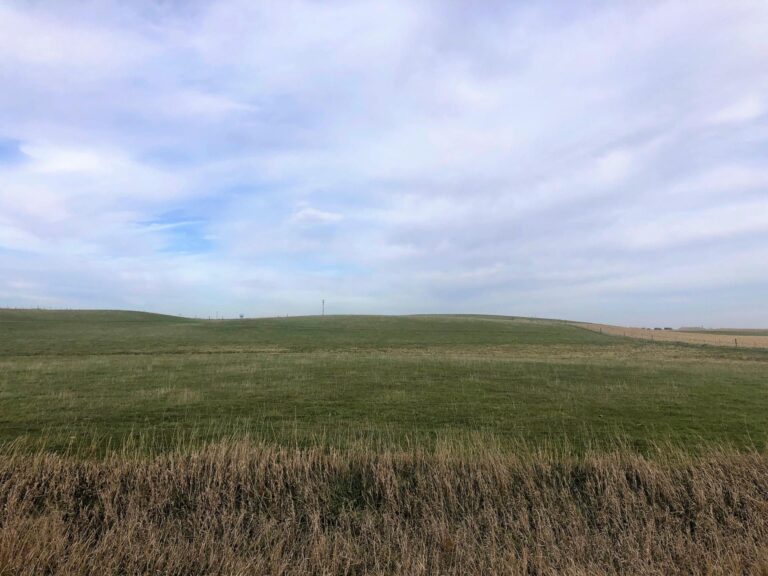 160 Acres m_l Cropland & Pasture-Pasture-1636136806