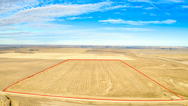 161.18 Surveyed Acres Selling in 2 Tracts-Tract 1-1638573956