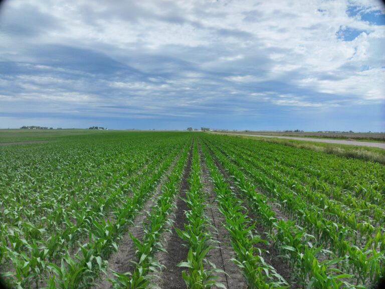 180 Acres m_l-1-1718306676