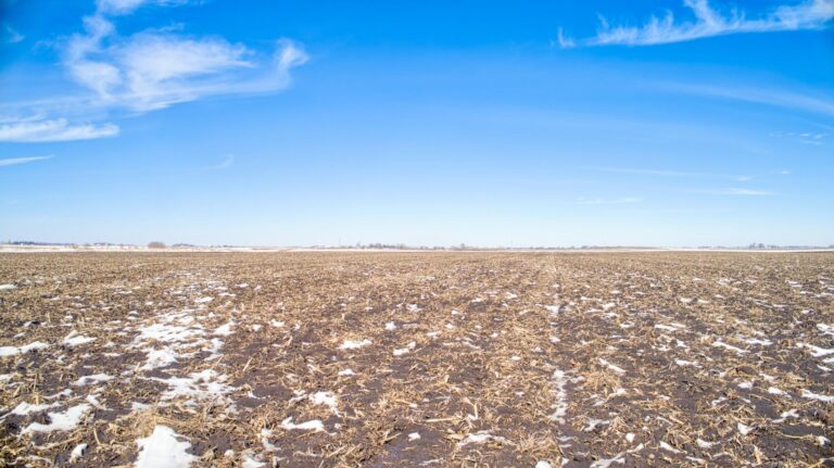 183 Acres m_l-Tract 1-1741361000