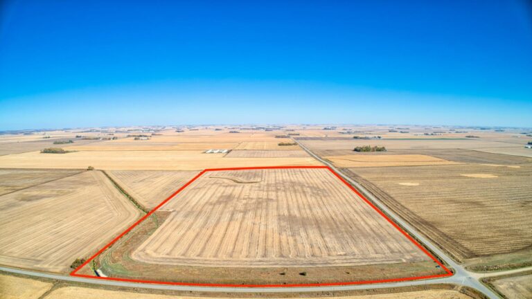 195 Acres Selling in 2 Tracts-3-1602862441