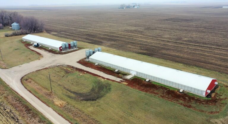 2- 2080 Head Hog Facilities-1-1606863068