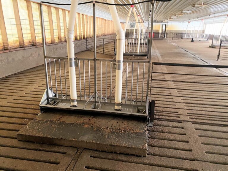 2- 2080 Head Hog Facilities-6-1606863150