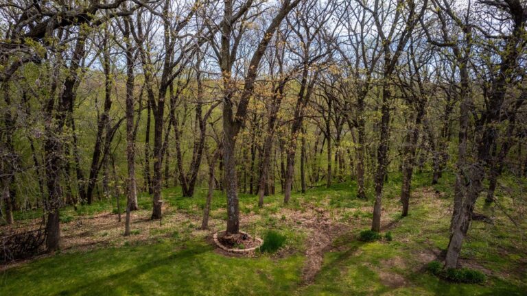 2 Story Home on 18.7 Acres-Acreage-1715191994