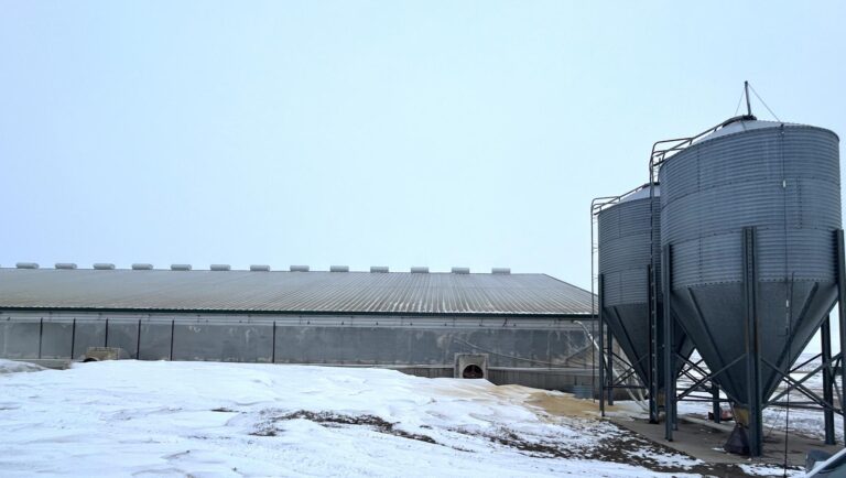 2000 Head Finishing Site-Swine Facility-1707172906