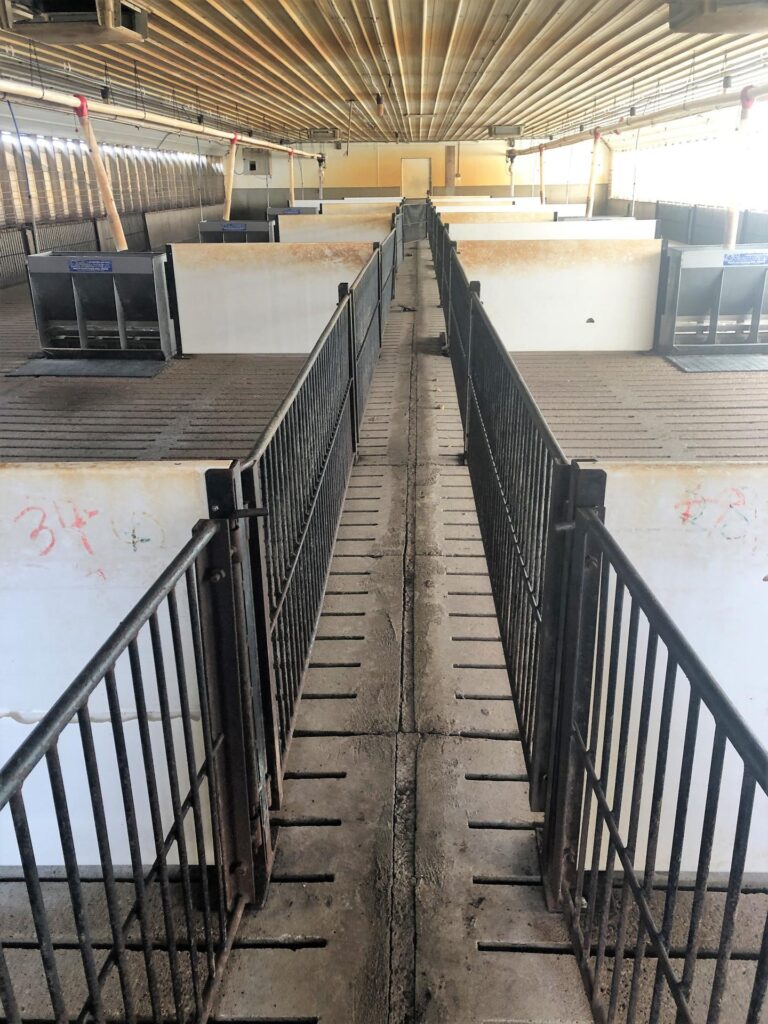 2,080 Head Swine Facility-12-1601564549