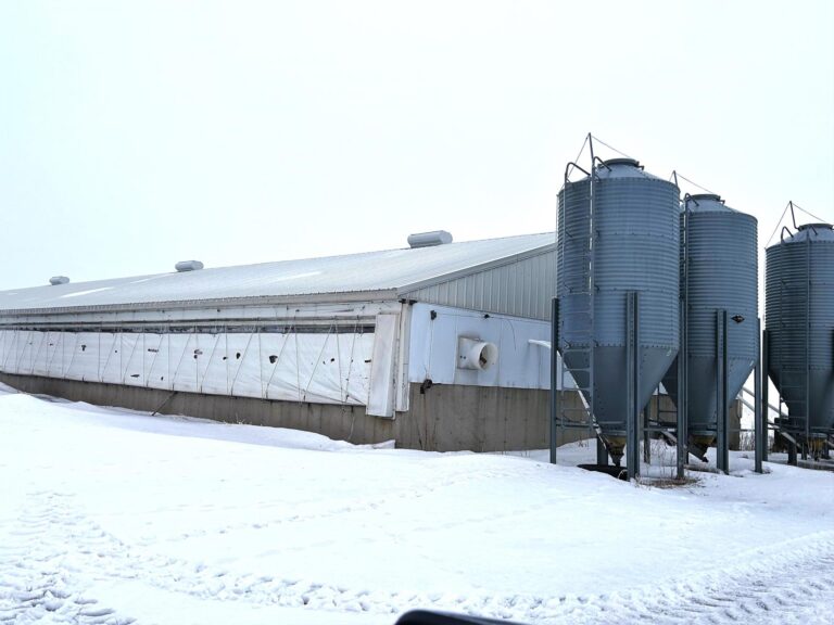 2,080 Head Swine Facility-4-1674235408
