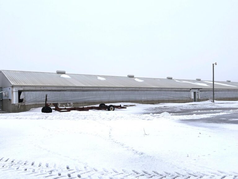 2,080 Head Swine Facility-4-1674235442