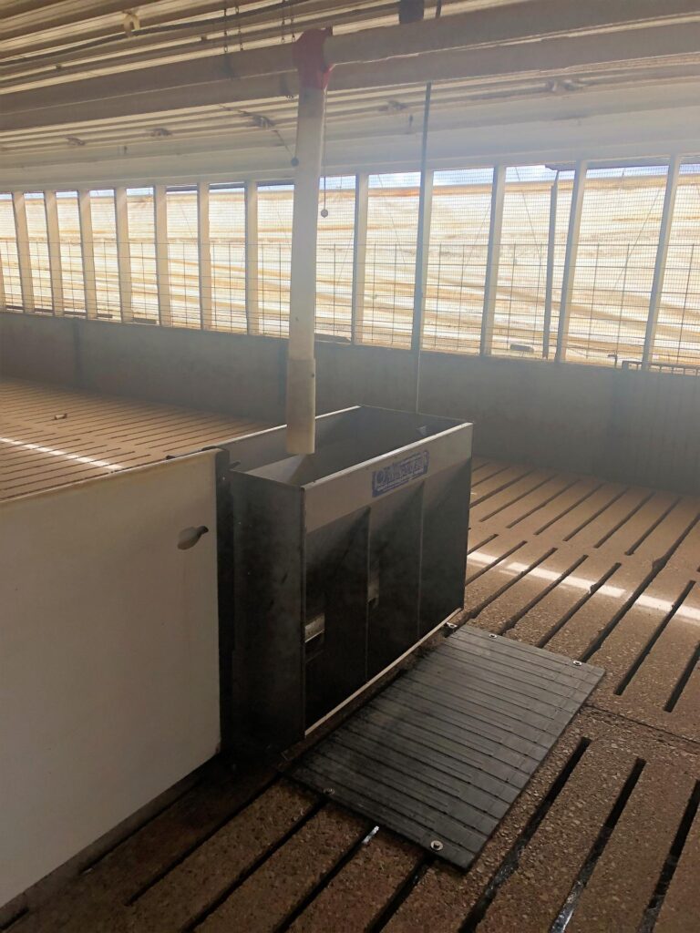 2,080 Head Swine Facility-9-1601564473